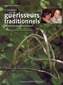 guerisseurs traditionnels guerisseurs traditionnels